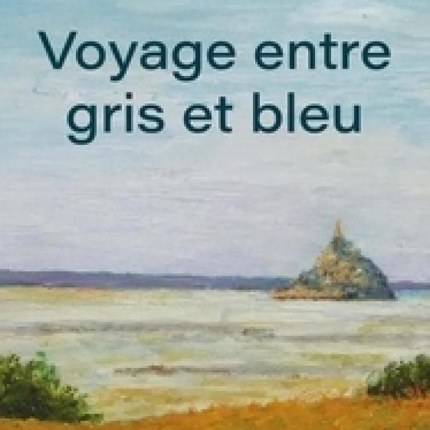 Lire en ligne : Voyage entre gris et bleu