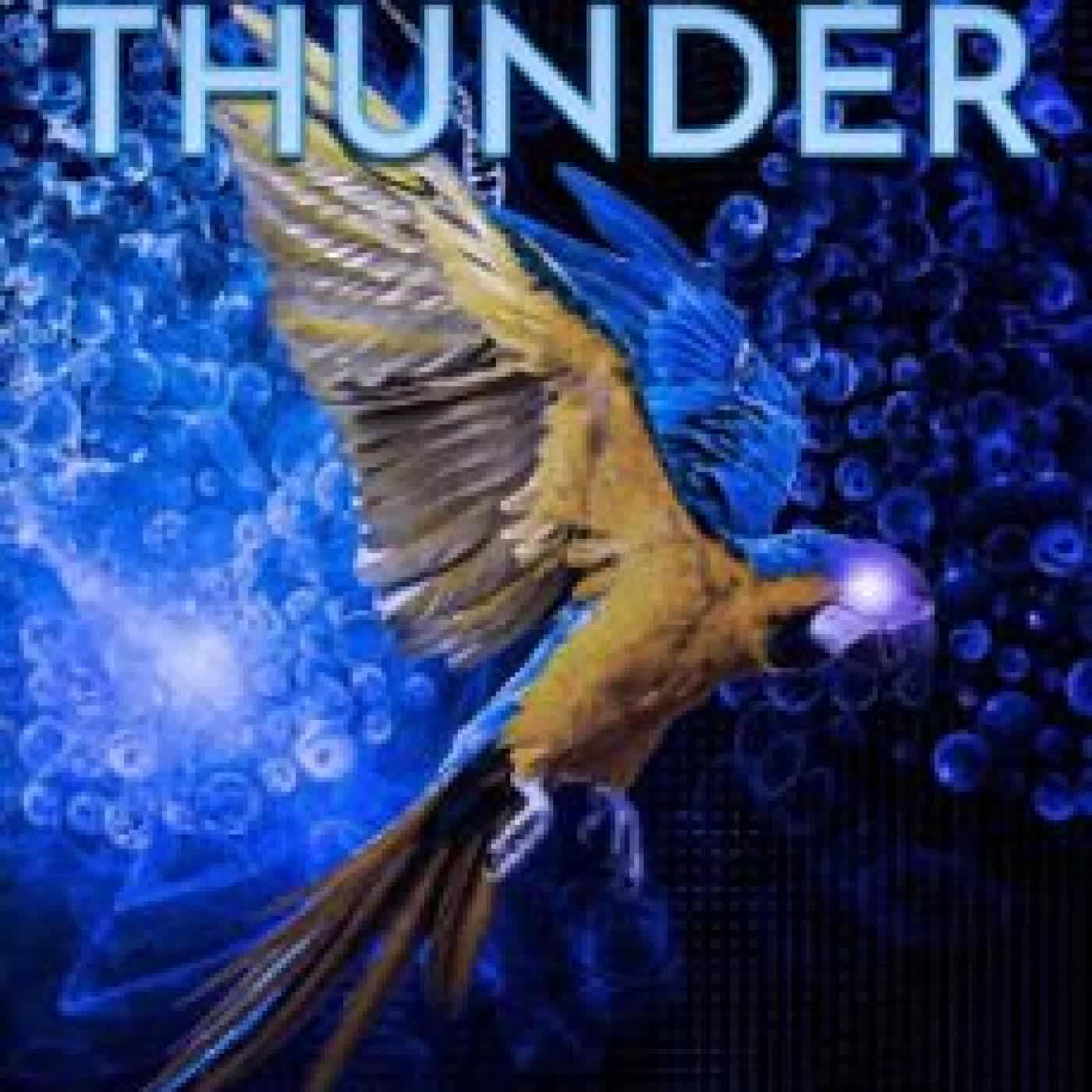 SILENT THUNDER T. J. MACGREGOR