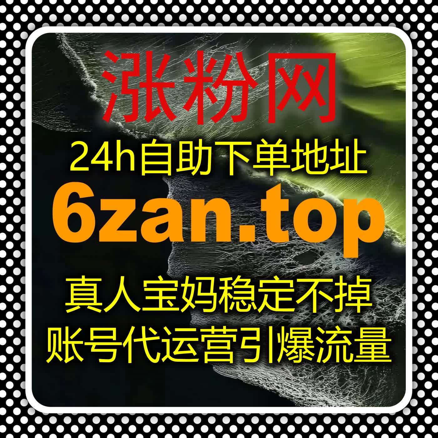自动化平台全面赋能流量提升，多维策略让内容在多平台获得稳定曝光 episode artwork