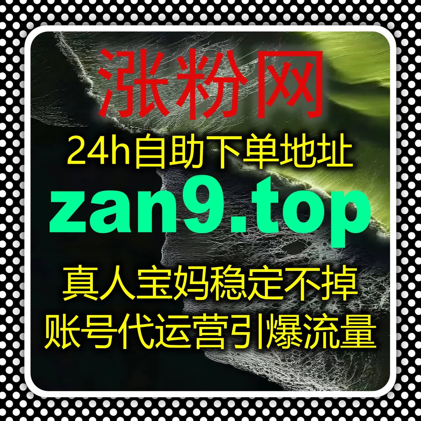 聚焦掌上端内容运营升级 自动化平台让西湖本地内容更具传播力