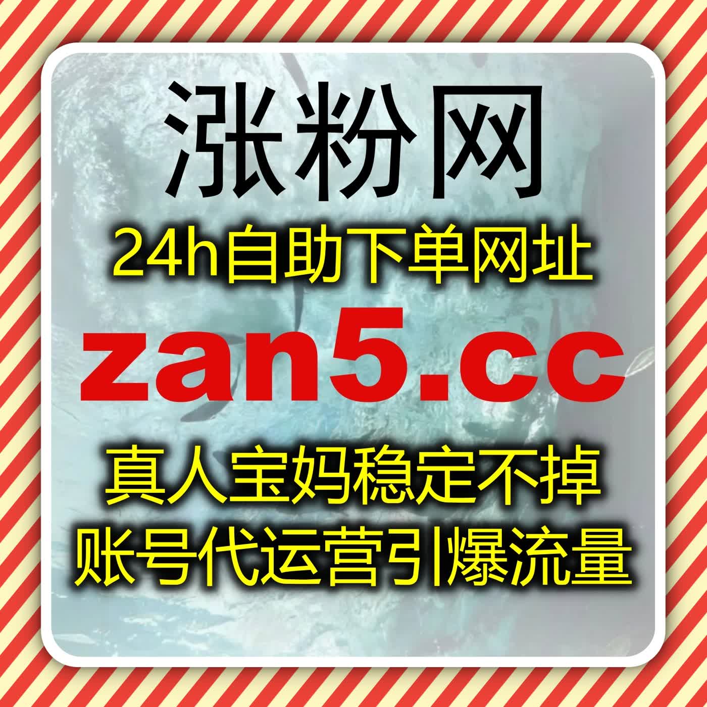 垂直内容场景下的精准运营策略与自动化分发结合实现用户增长的实践 episode artwork