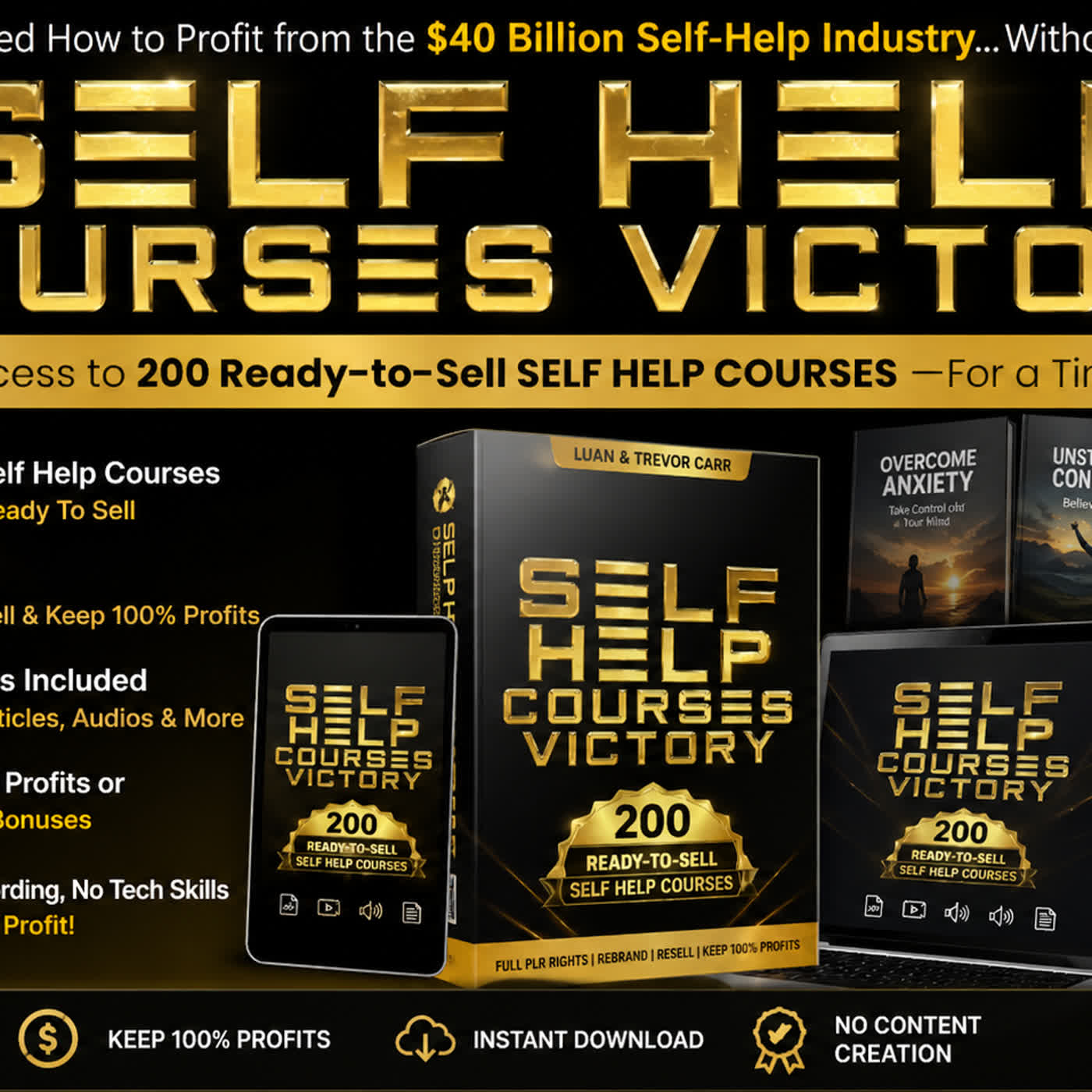 Self Help Courses Victory PLR Reviews – Real Profits or Just Marketing Hype?