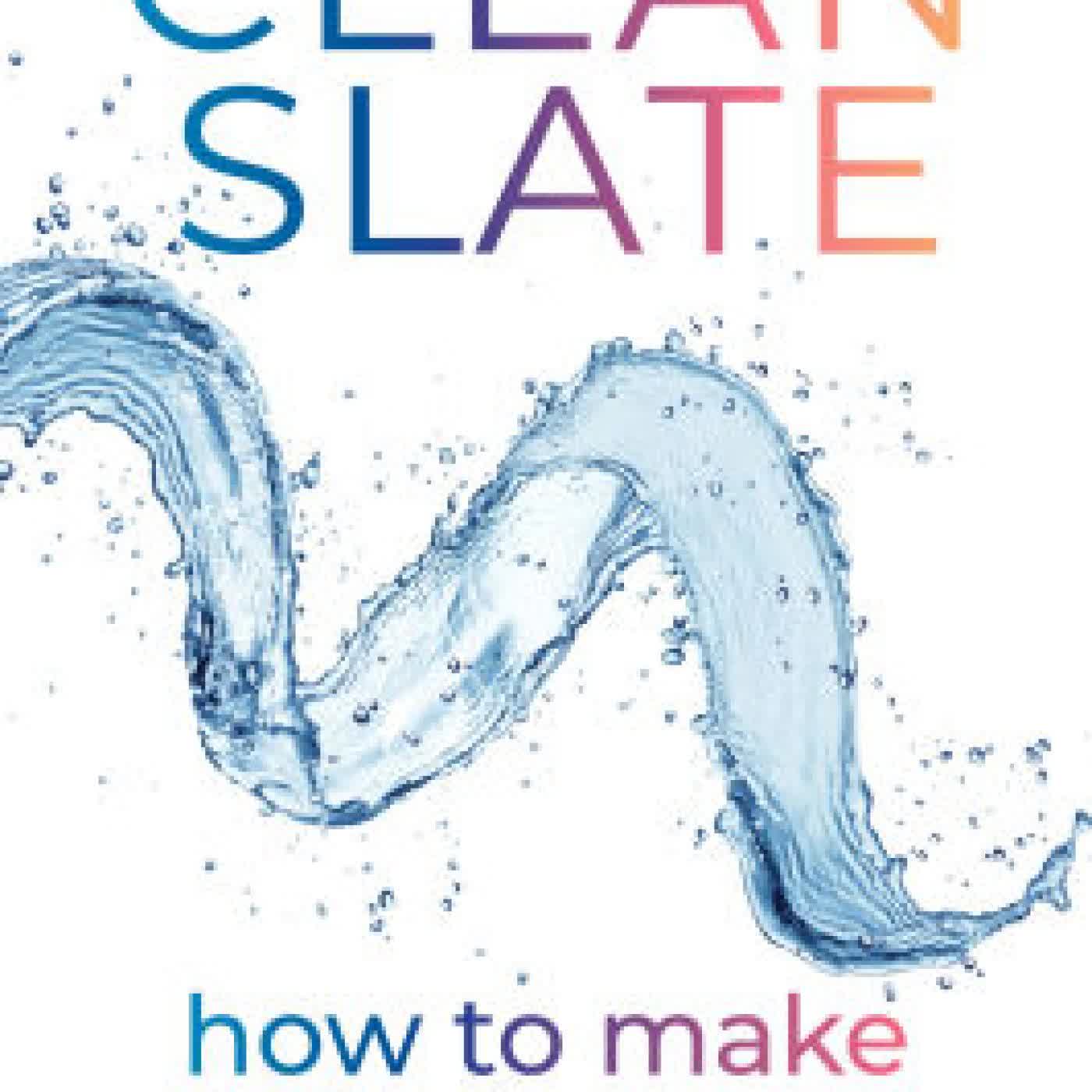 Read online: Clean Slate: How to Make Change Happen by Kristen Lee