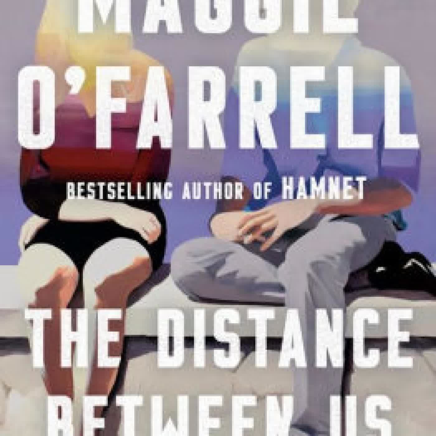 The Distance Between Us: A Novel by Maggie O'Farrell on Iphone New Format