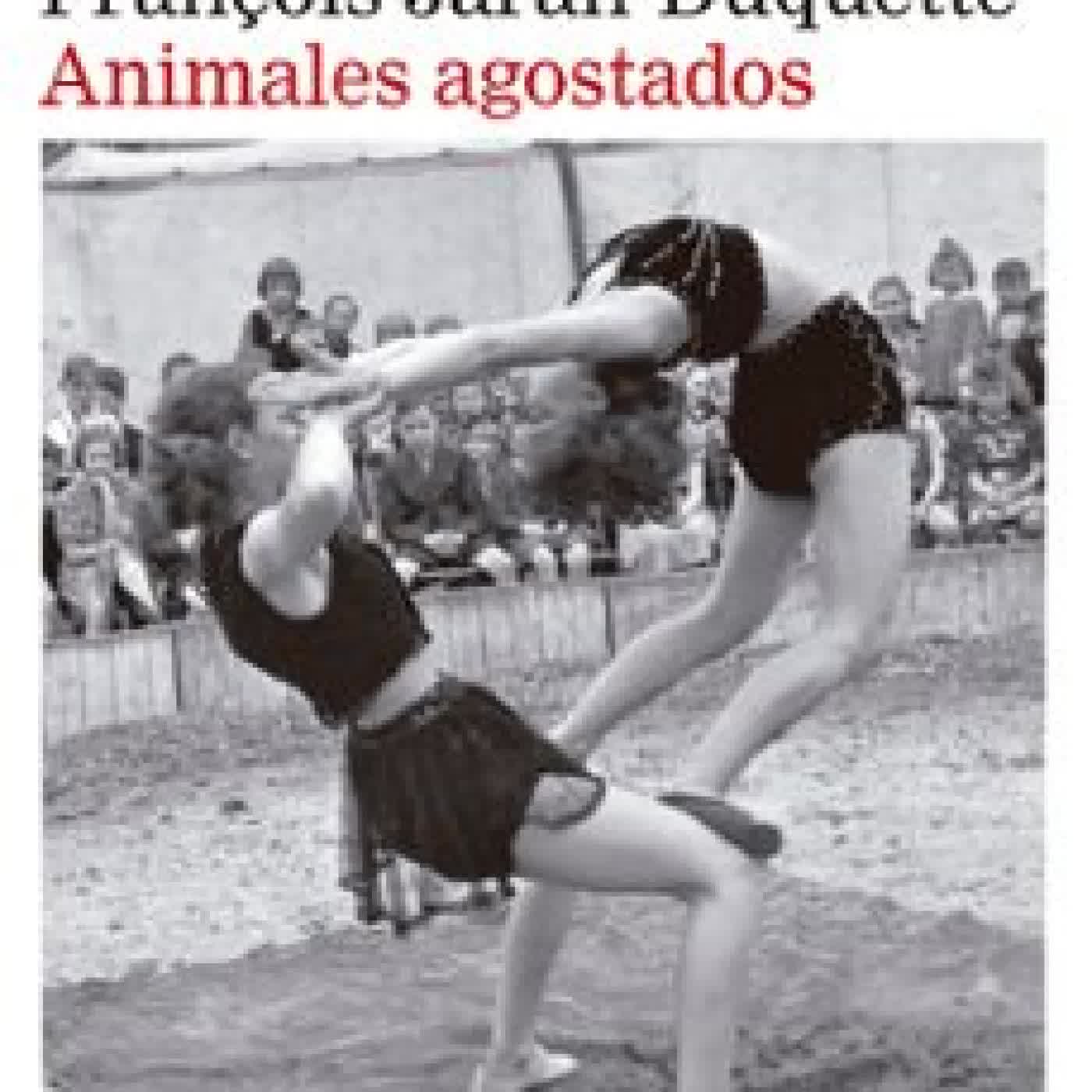 ANIMALES AGOSTADOS FRANÇOIS JARAN DUQUETTE