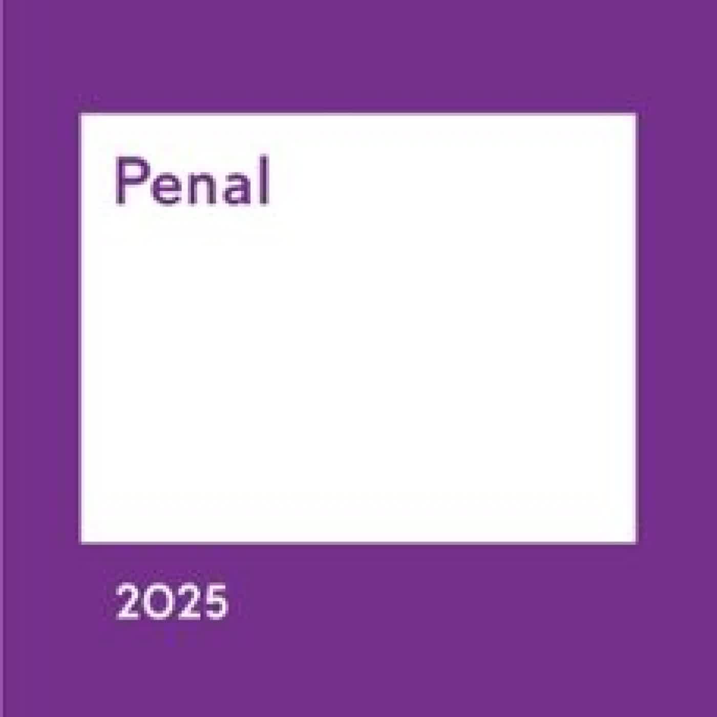 MEMENTO PRÁCTICO PENAL 2025