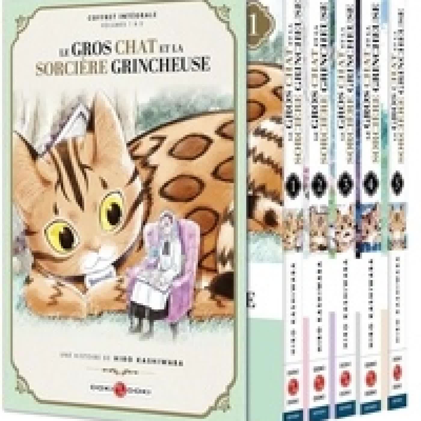 Lire en ligne : Le gros chat et la sorcière grincheuse Tomes 1 à 5Coffret en 5 volumes