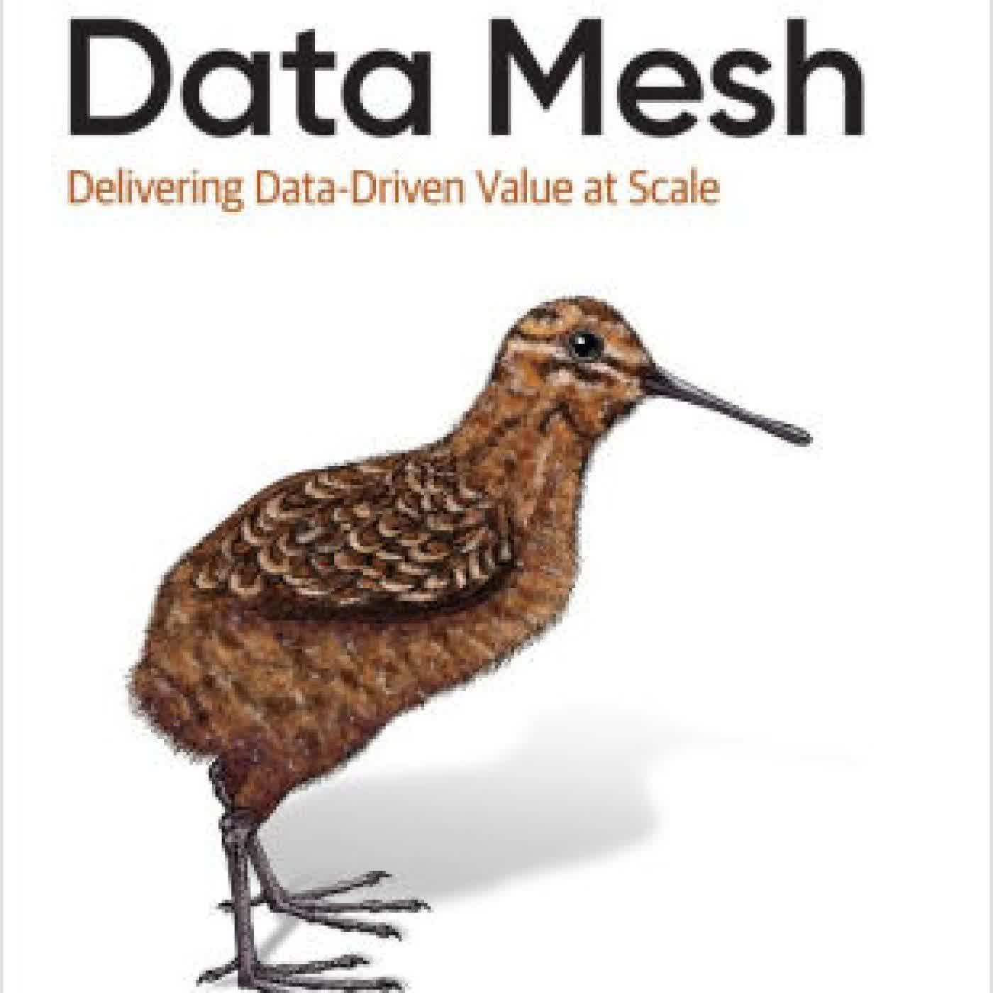 Read online: Data Mesh: Delivering Data-Driven Value at Scale by