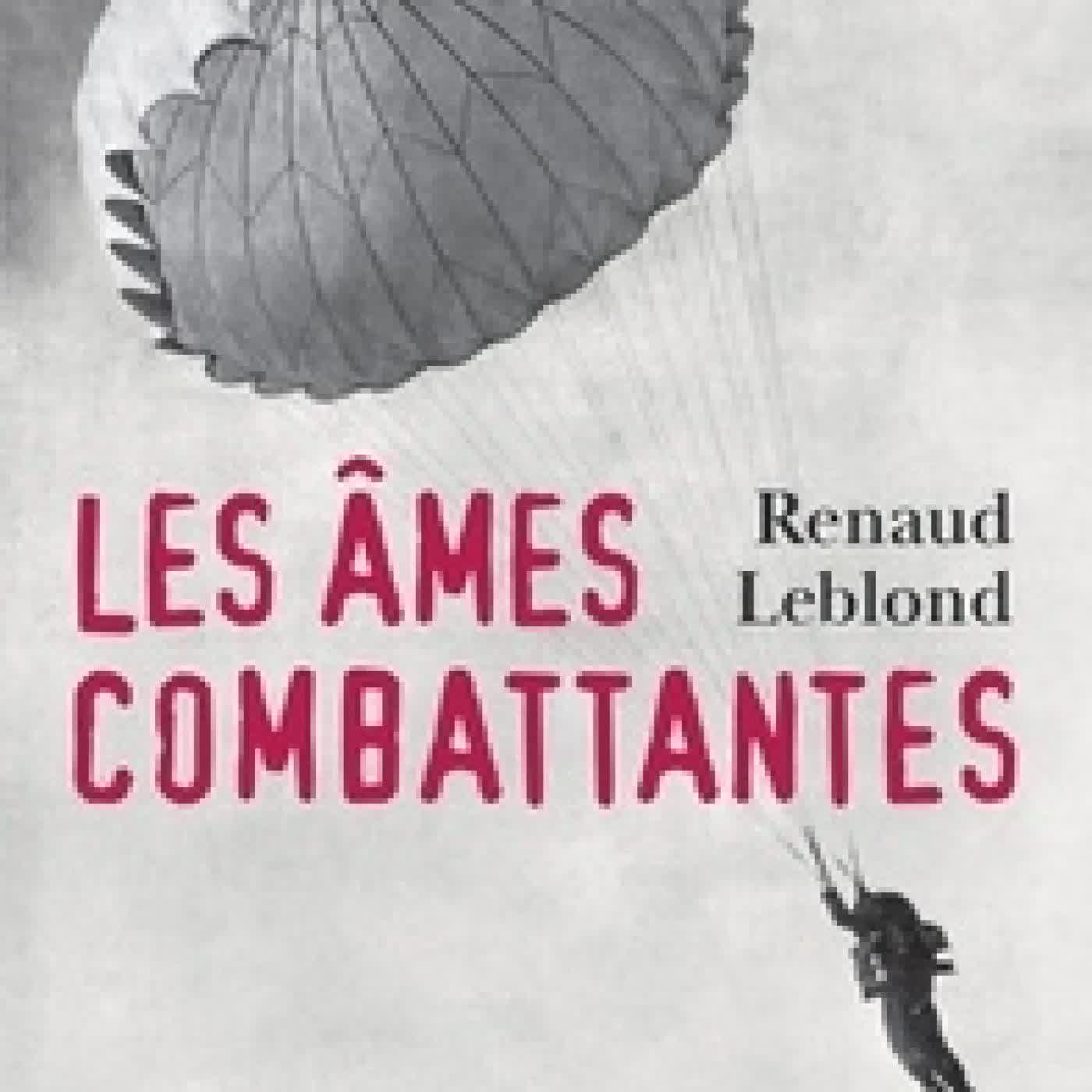Télécharger Pdf Les âmes combattantes