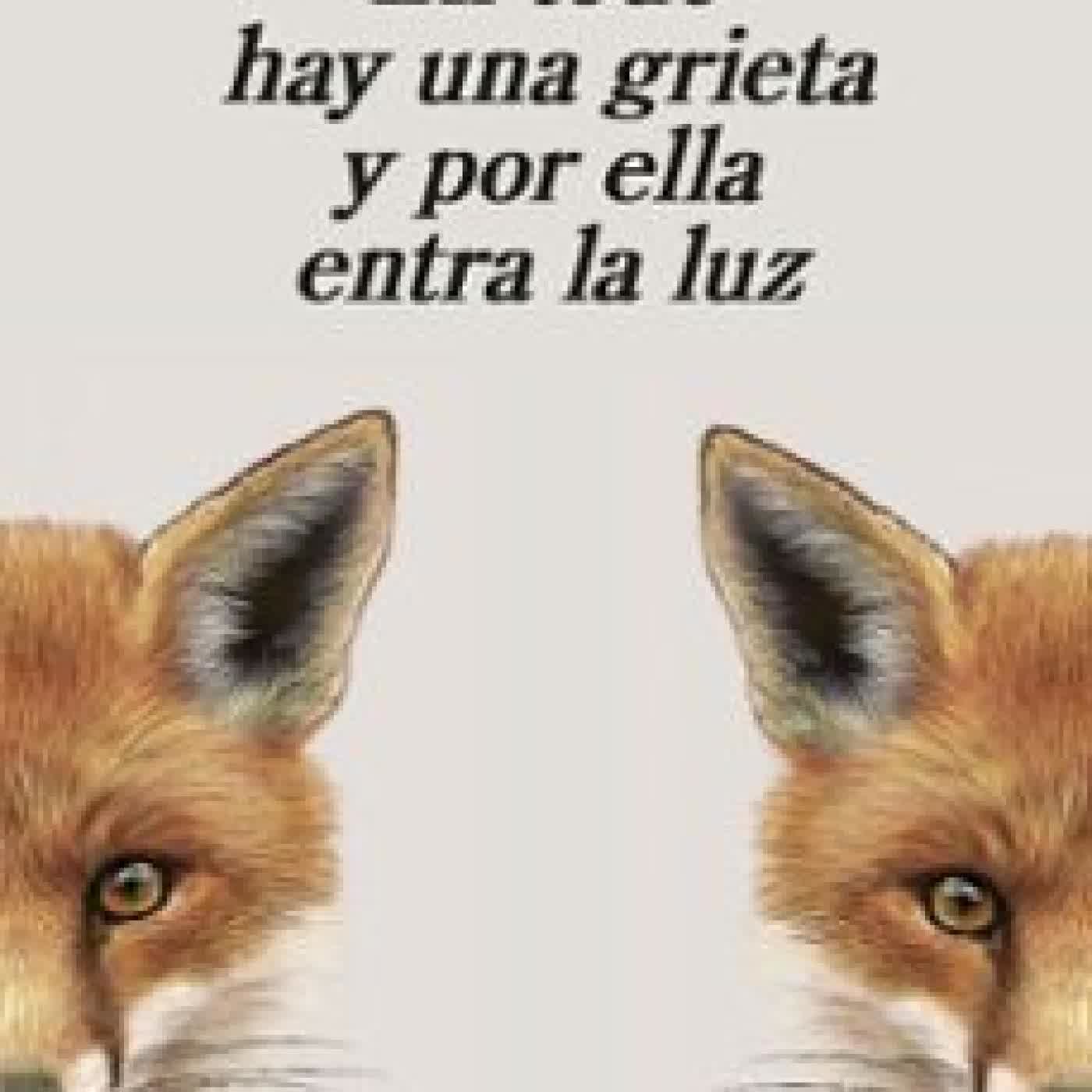 EN TODO HAY UNA GRIETA Y POR ELLA ENTRA LA LUZ Patricio Pron
