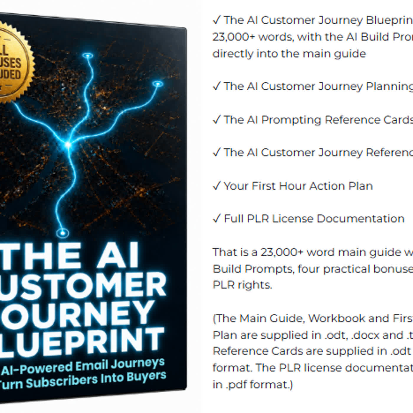 What is (PLR) AI Marketing Blueprint?
