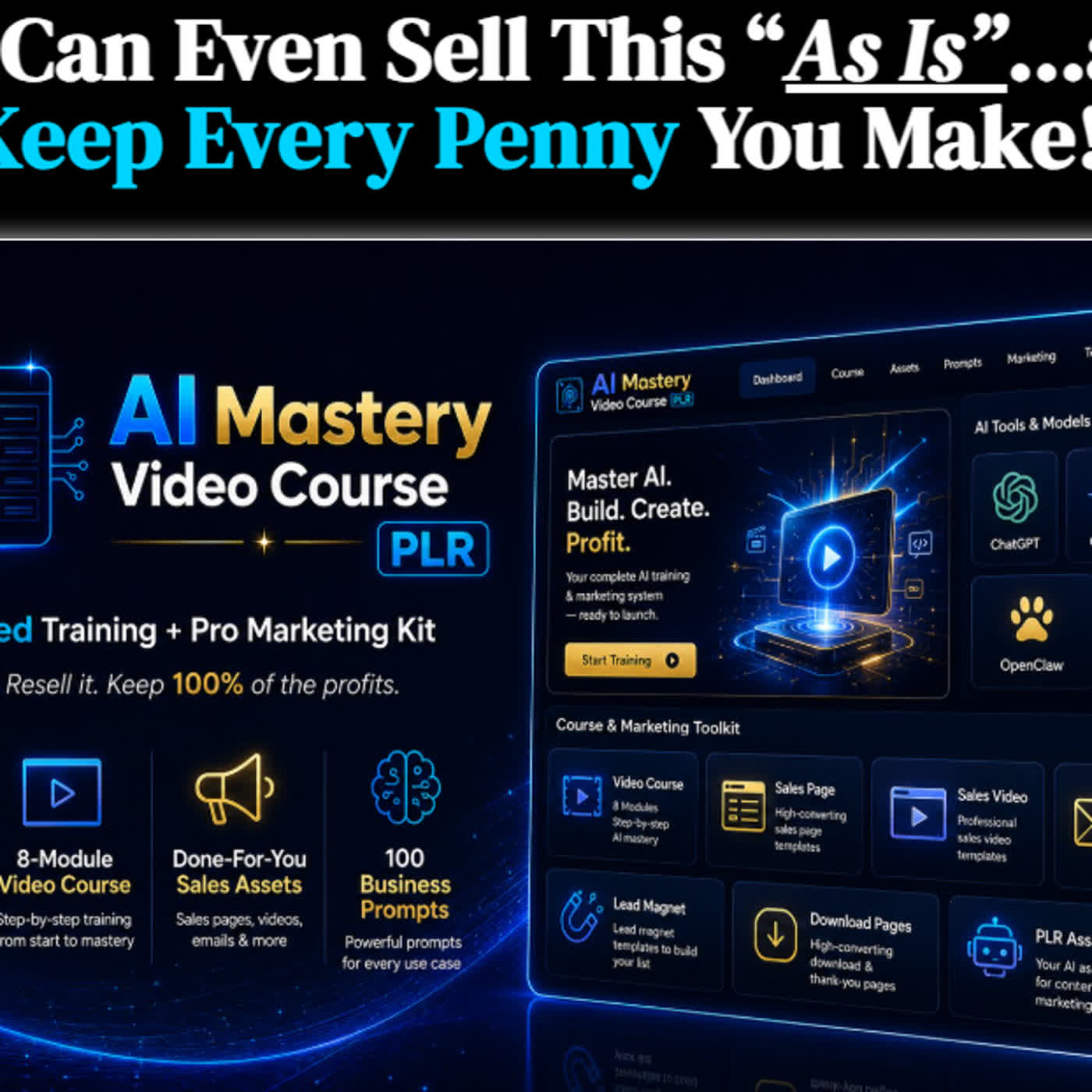 Comparison With Competitors of (AI Toolkit) The Content Asset System PLR