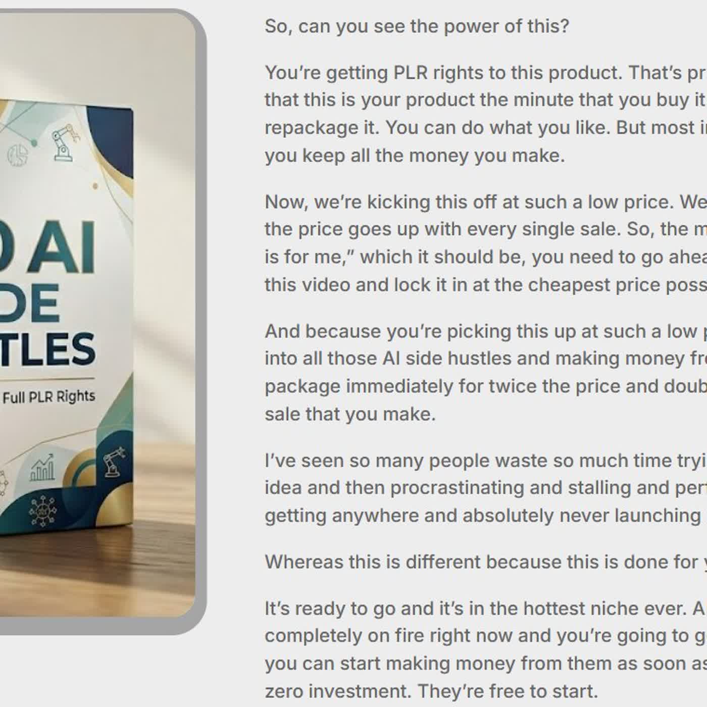 What is PLR - The One Person Business System ?