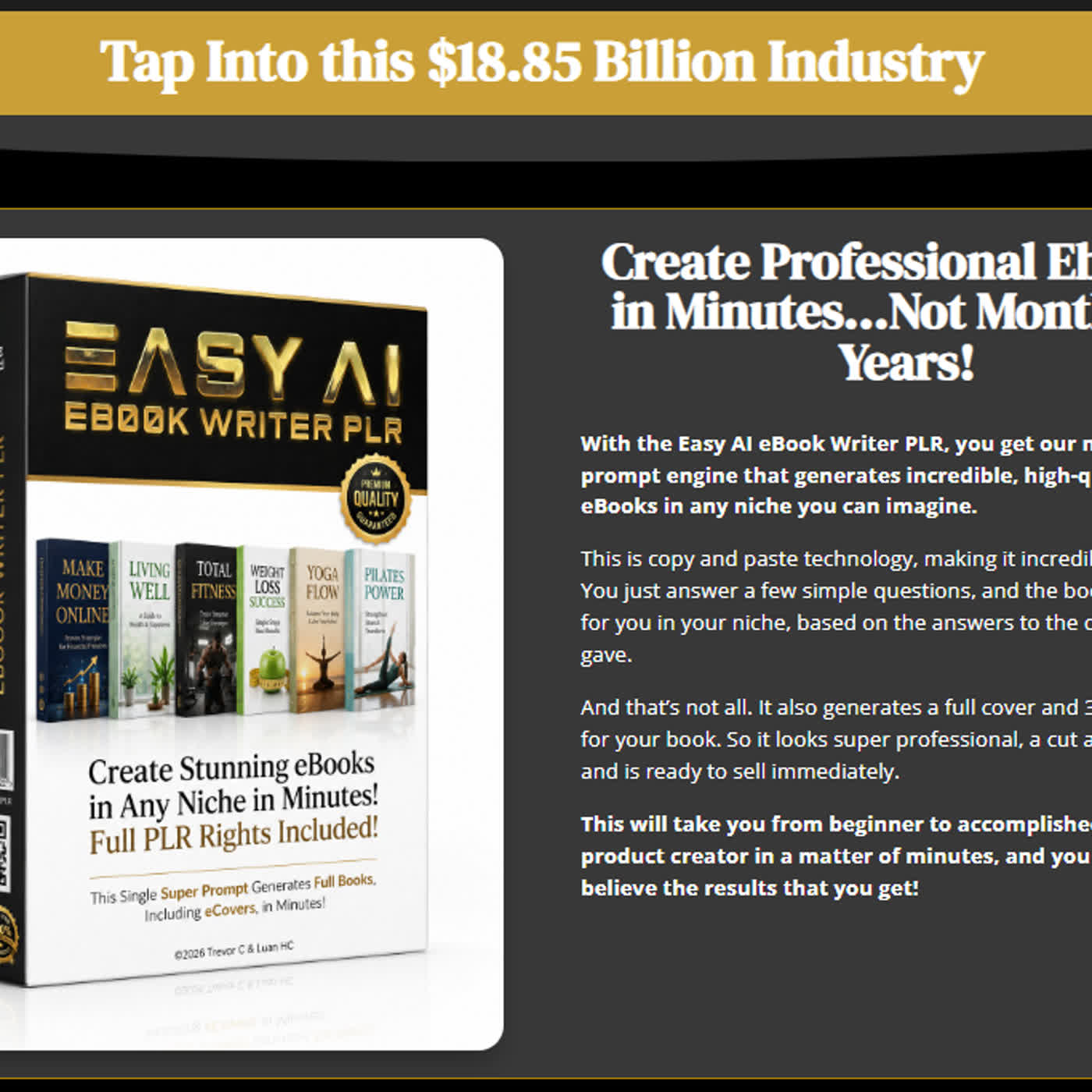EASY AI EBOOK WRITER PLR Review (Luan et al)