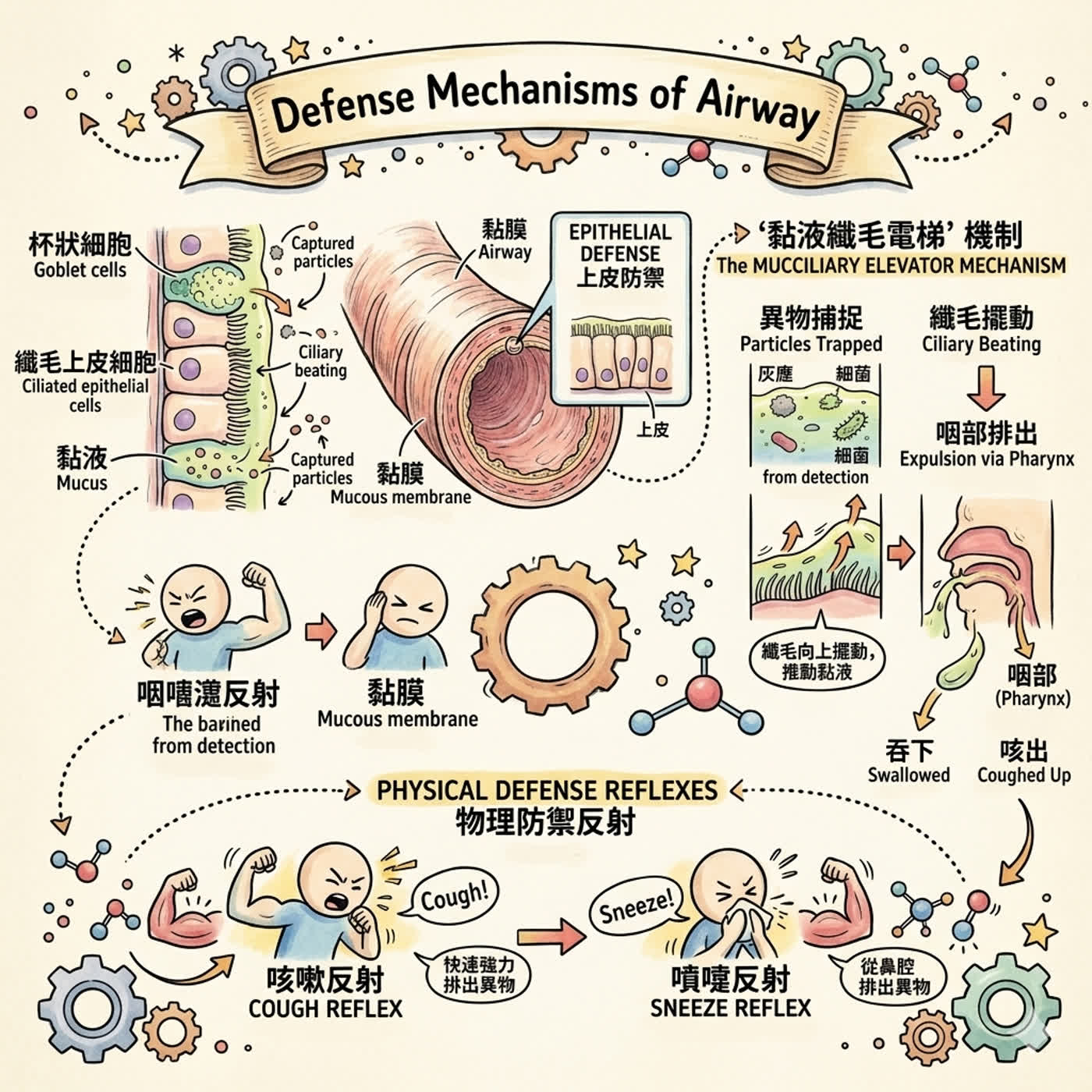 呼吸道的保護機制  - 呼吸道五級防線 episode artwork