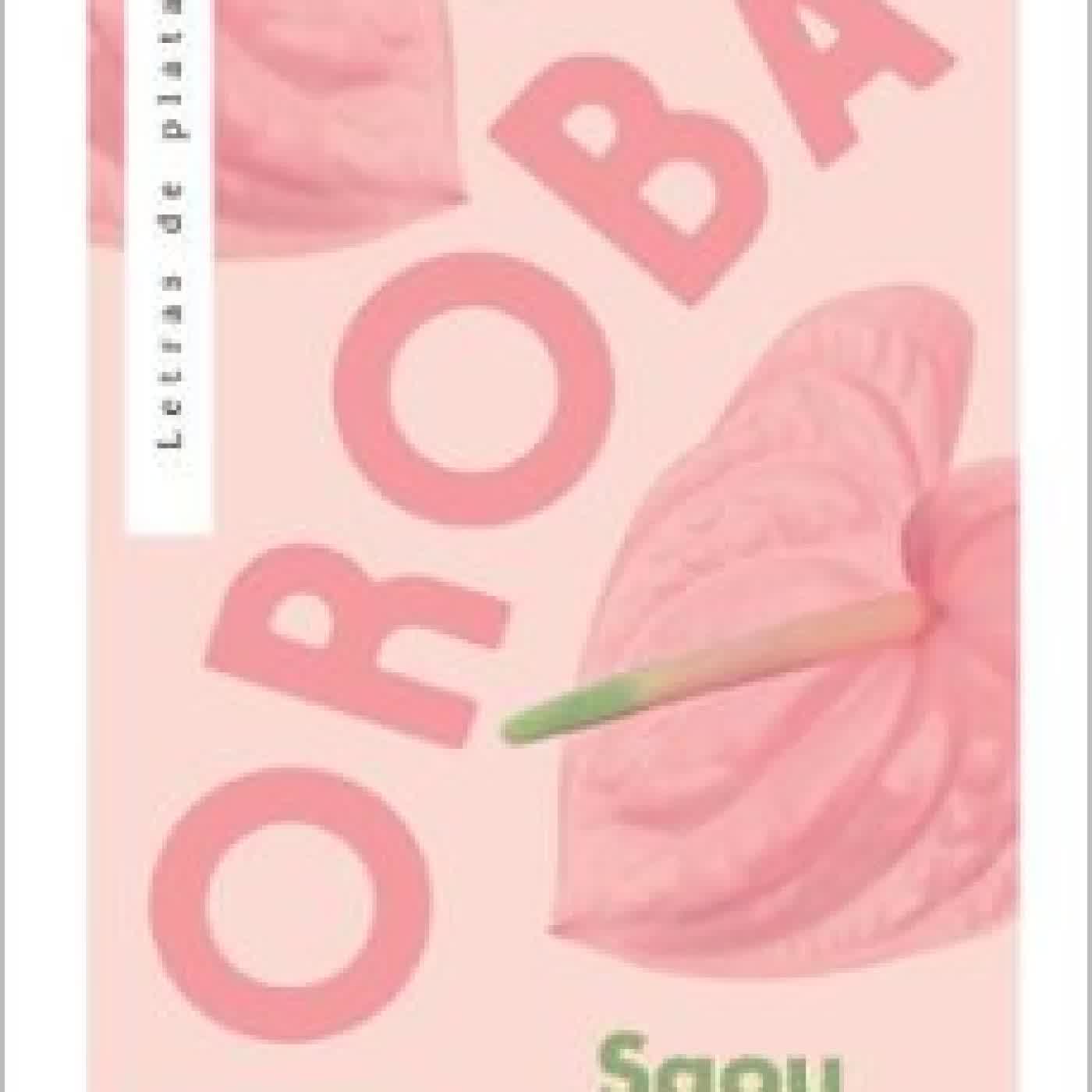 JOROBA SAOU ICHIKAWA