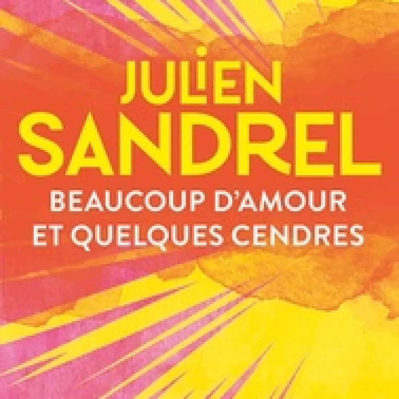 Lire en ligne : Beaucoup d'amour et quelques cendres