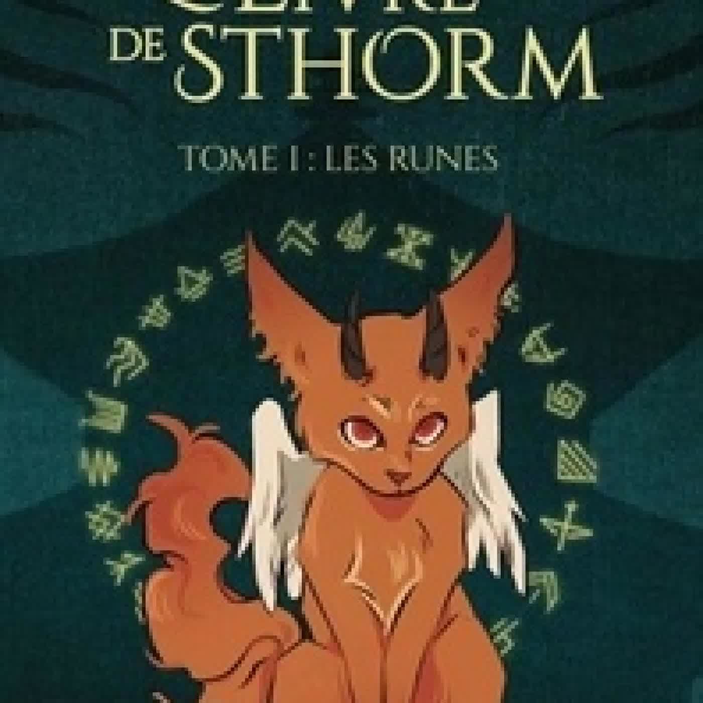 {téléchargement} Le Livre de Sthorm - Tome I : Les Runes