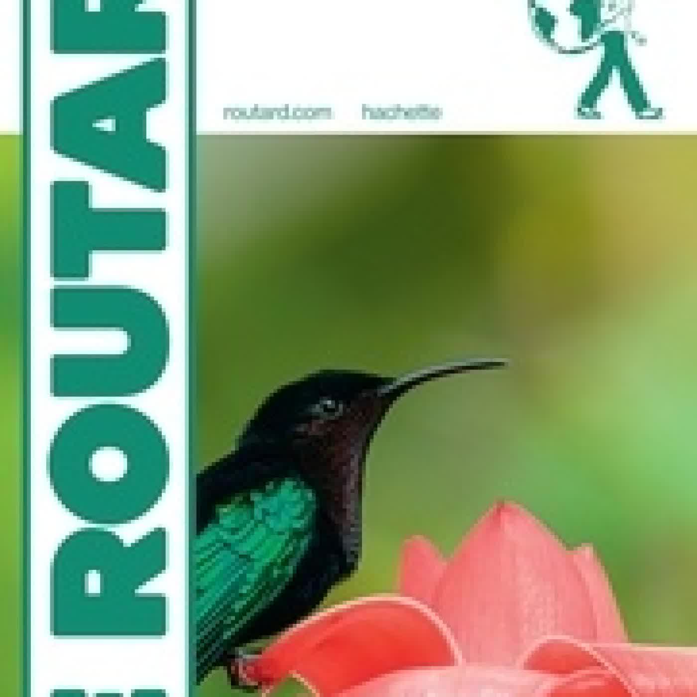 {téléchargement} Guide du Routard Martinique 2025/26