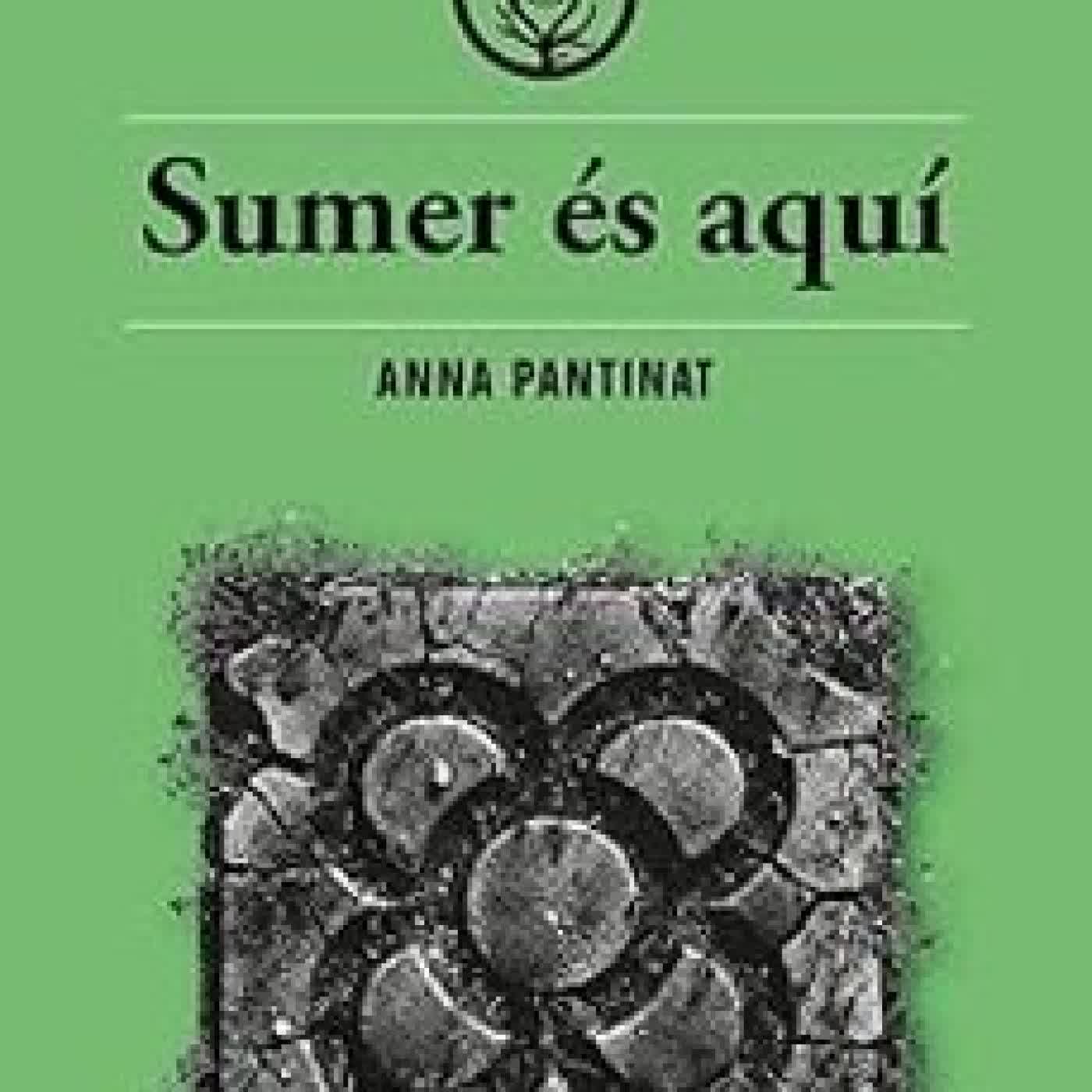 SUMER ES AQUÍ ANNA PANTINAT
