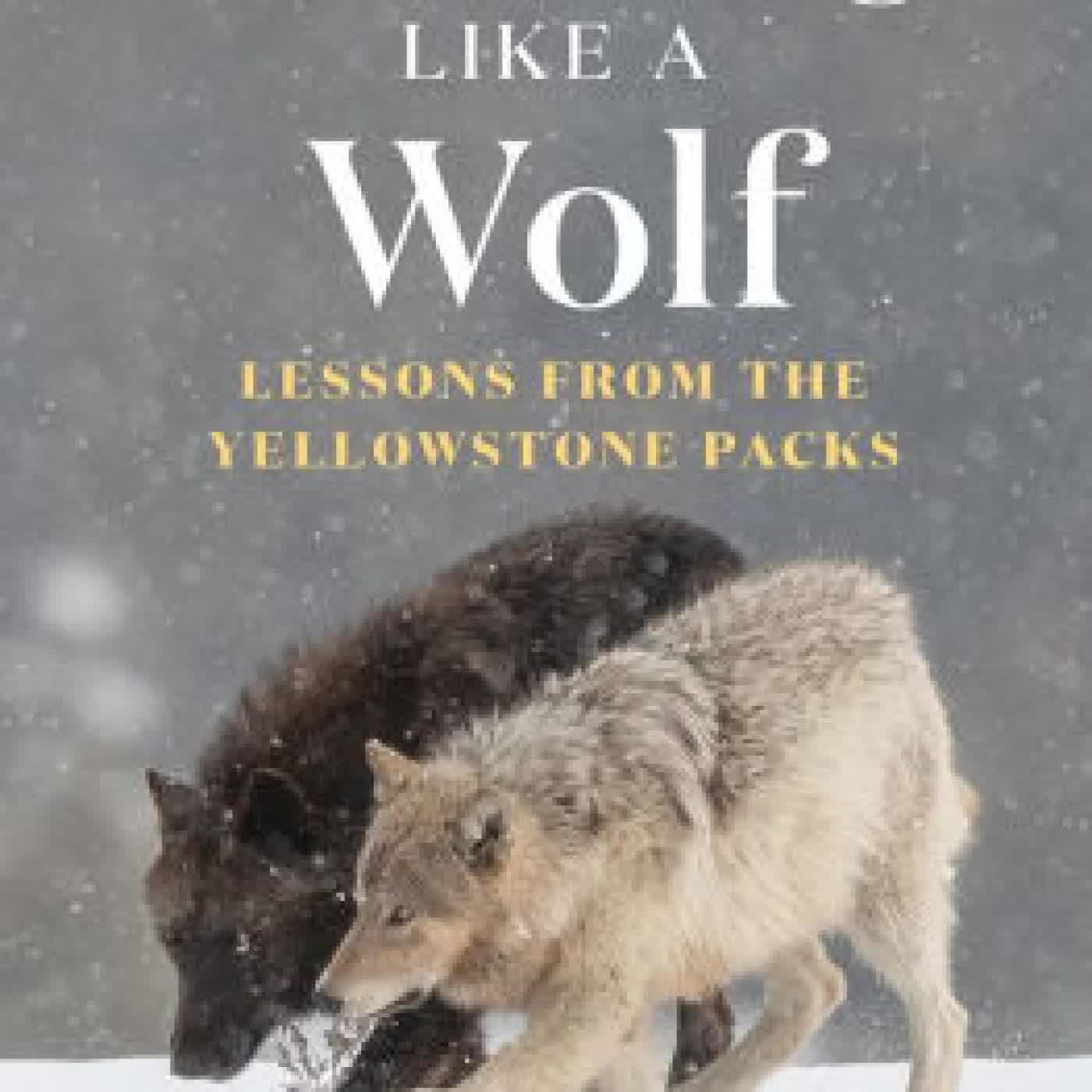 Read online: Thinking Like a Wolf: Lessons From the Yellowstone Packs by Rick McIntyre, Frans de Waal