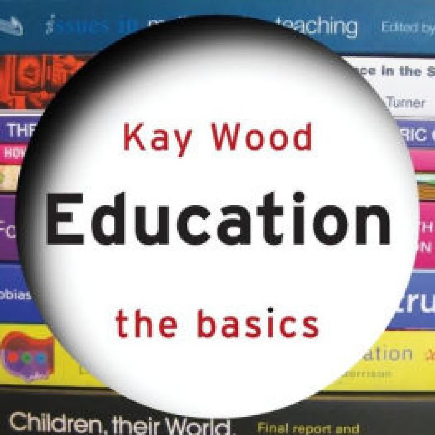Education: The Basics by Kay Wood on Iphone New Format