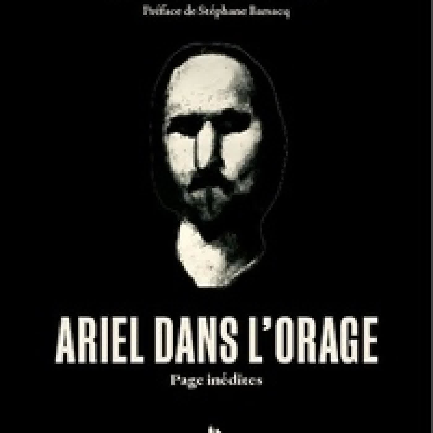 {téléchargement} Ariel dans l'orage - Pages inédites