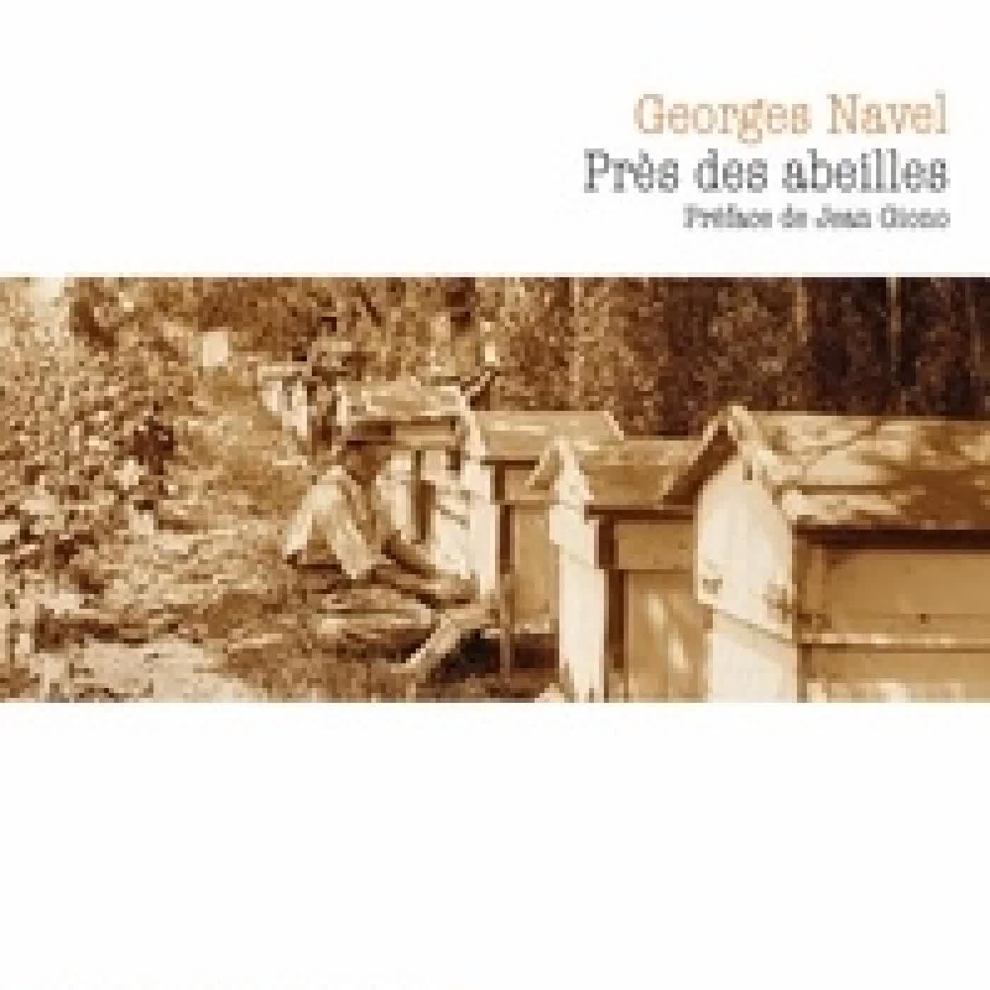 Télécharger Pdf Près des abeilles