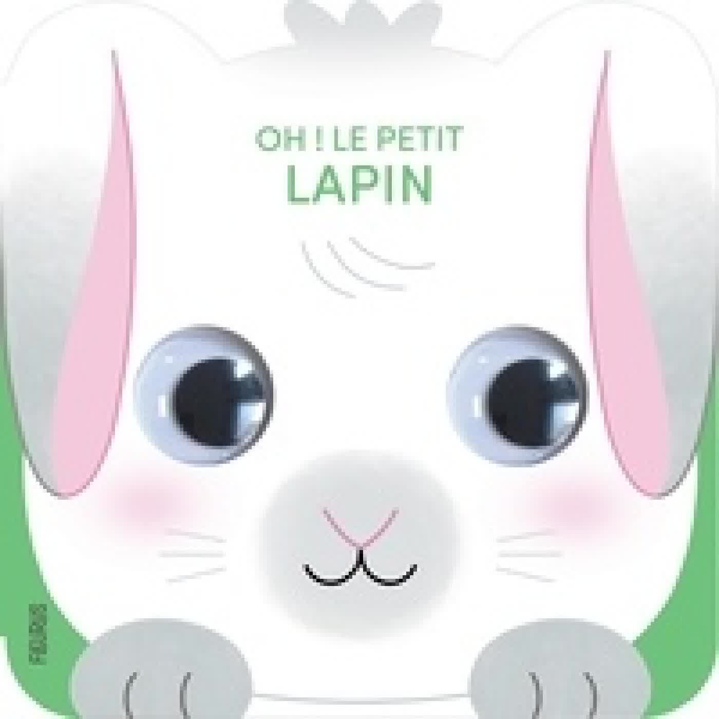 Télécharger Pdf Oh ! Le petit lapin