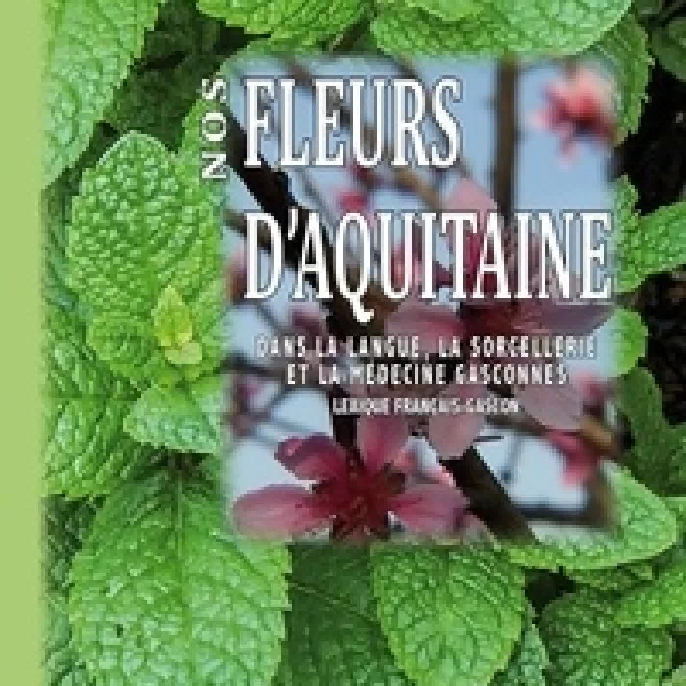 Télécharger Pdf Nos fleurs d'Aquitaine dans la langue, la sorcellerie et la médecine gasconnes. Lexique français - gascon
