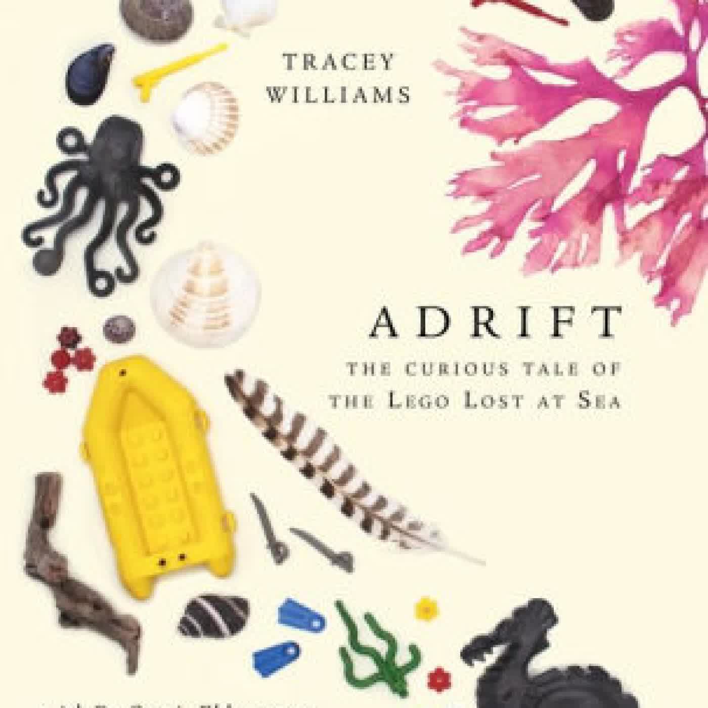 Adrift: The Curious Tale of the Lego Lost at Sea by Tracey Williams on Iphone New Format