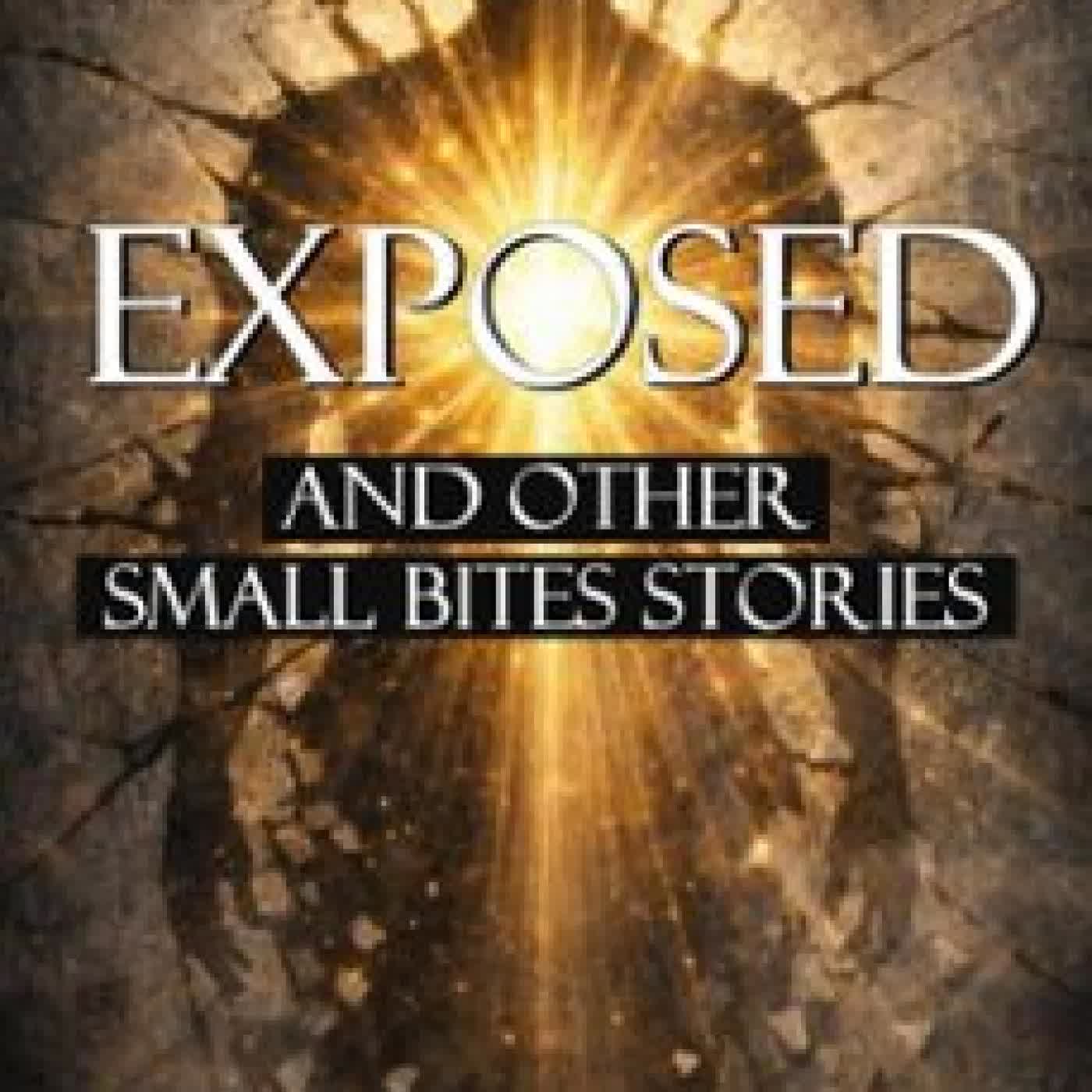 EXPOSED AND OTHER SMALL BITES STORIES INDIES UNITED PUBLISHING HOUSE LLC