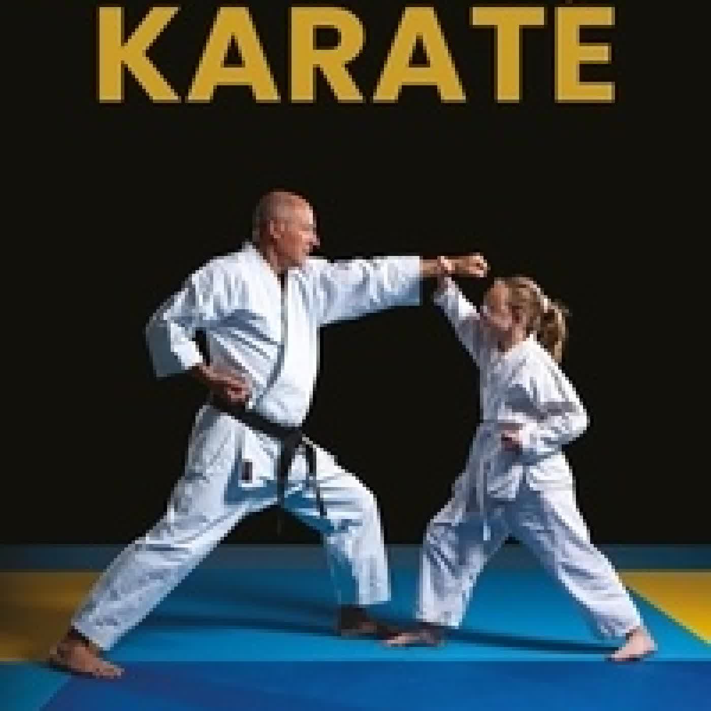 {téléchargement} 1 année d'entraînement de karaté