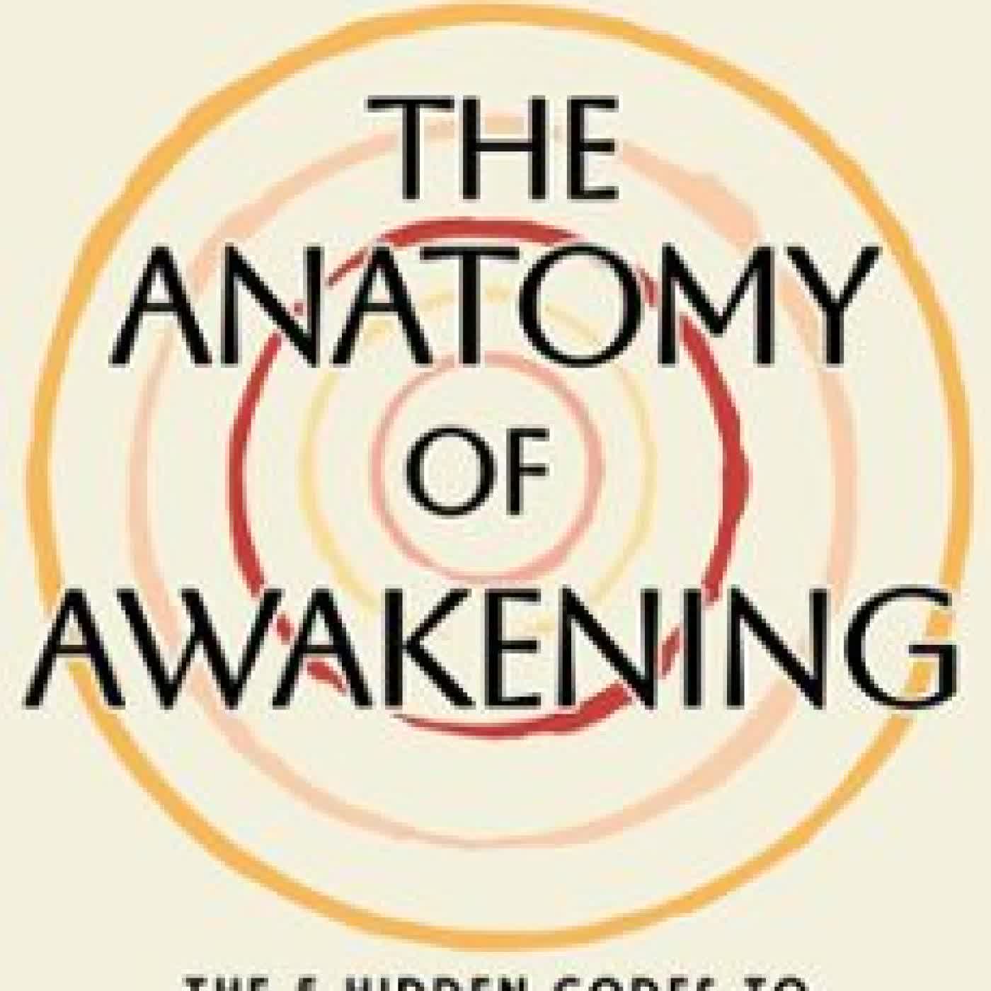 THE ANATOMY OF AWAKENING SUE MORTER