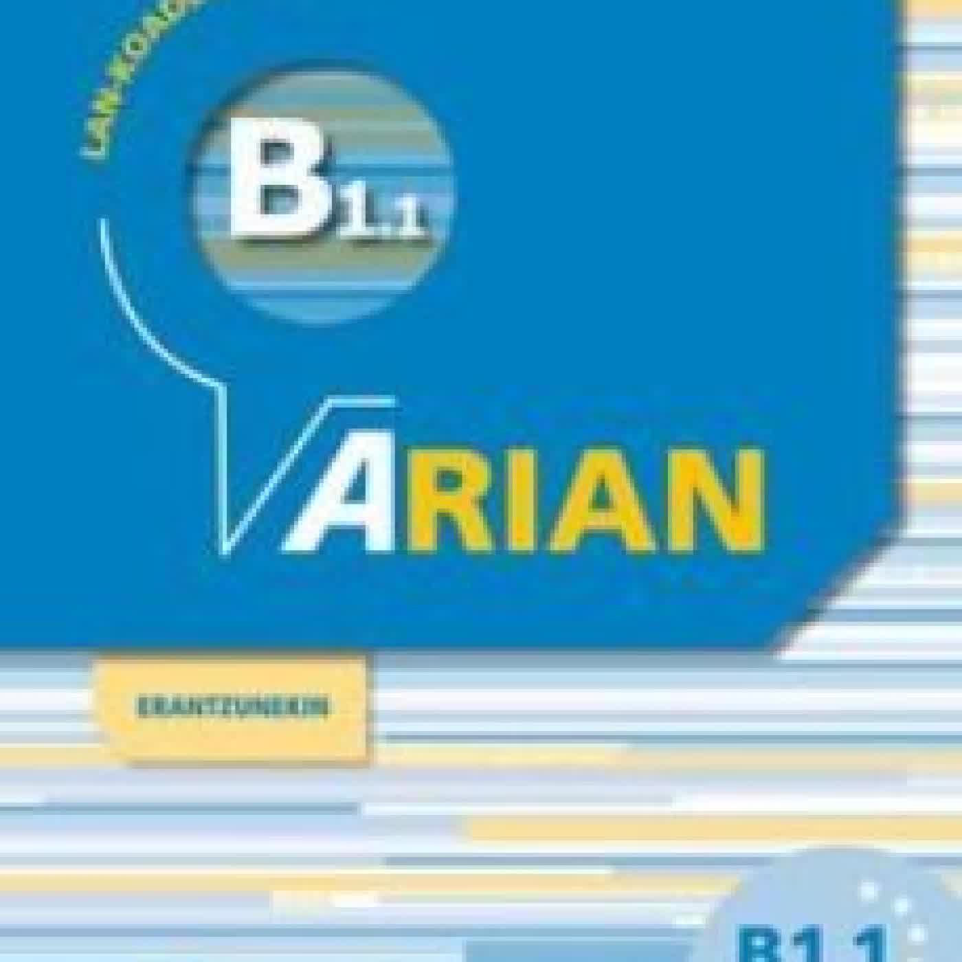 ARIAN B1.1 LAN KOADERNOA (+ERANTZUNAK) BATZUK