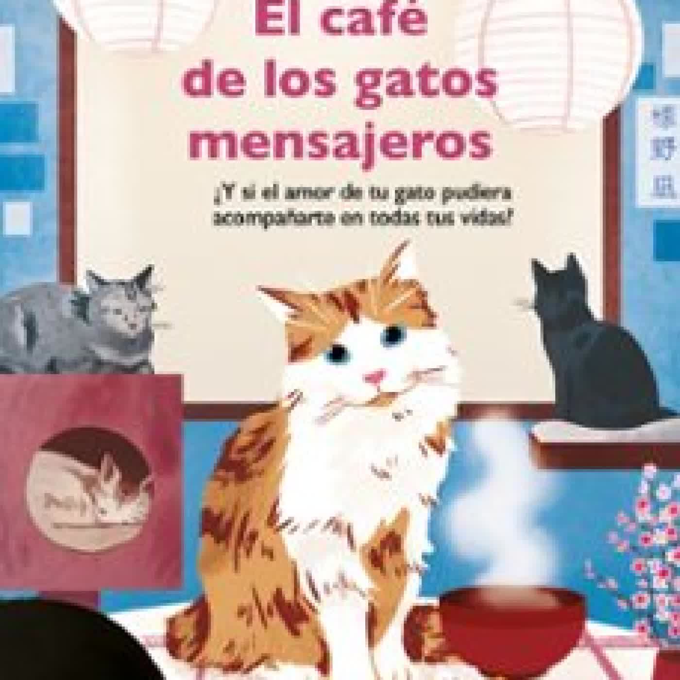 EL CAFE DE LOS GATOS MENSAJEROS Nagi Shimeno