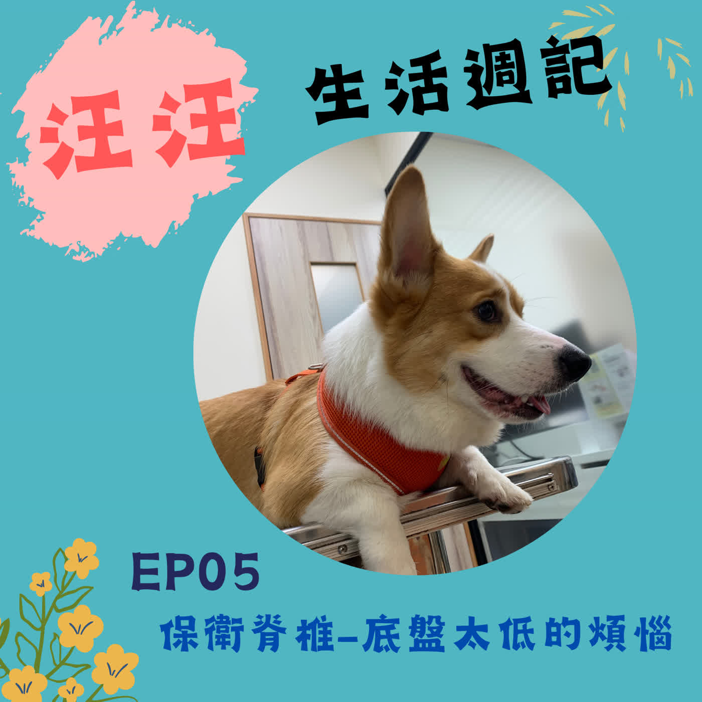 EP05:保衛脊椎-底盤太低的煩惱