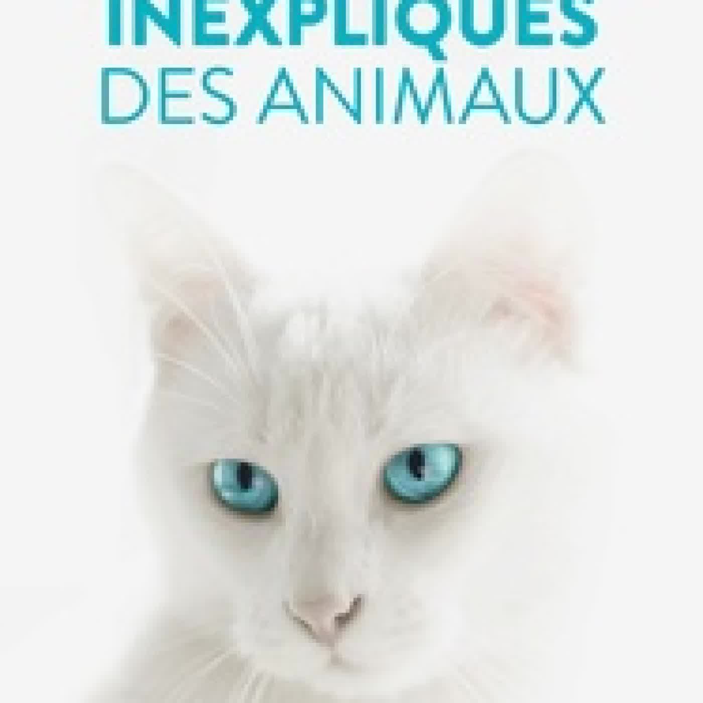Lire en ligne : Les pouvoirs inexpliqués des animaux