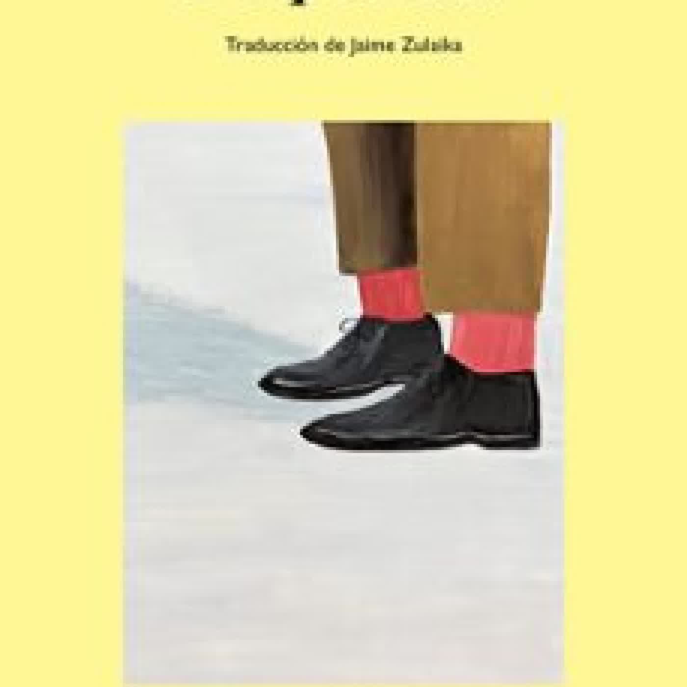 DESPEDIDAS Julian Barnes