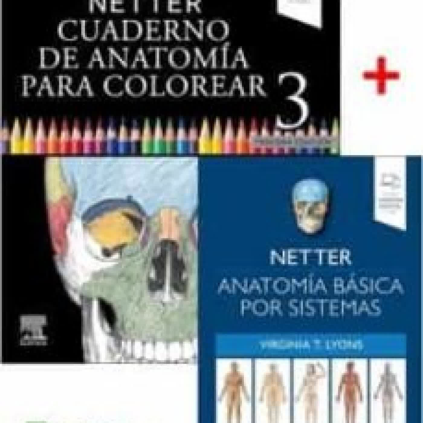 LOTE ANATOMÍA NETTER: ANATOMIA BÁSICA POR SISTEMAS + CUADERNO DE ANATOMIA PARA COLOREAR VIRGINIA T. LYONS, J.T. HANSEN