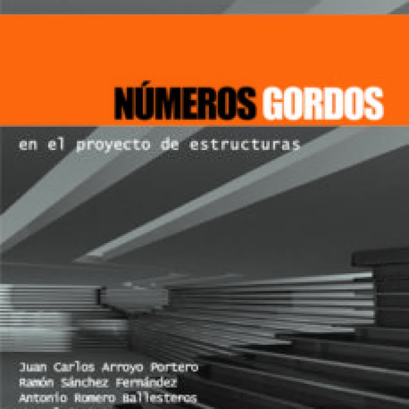 NUMEROS GORDOS EN EL PROYECTO DE ESTRUCTURAS (NUEVA EDICION REVISADA) JUAN CARLOS ARROYO PORTERO