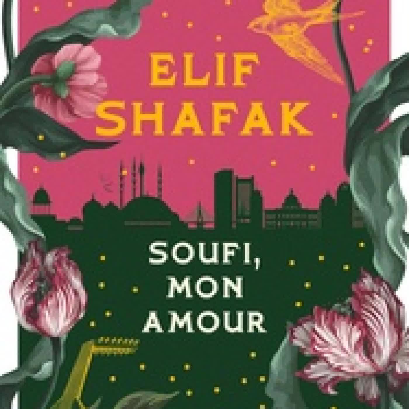 Télécharger Pdf Soufi, mon amour