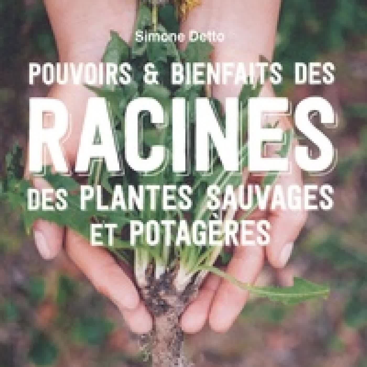 Télécharger Pdf Pouvoirs & Bienfaits des Racines des plantes sauvages et potagères