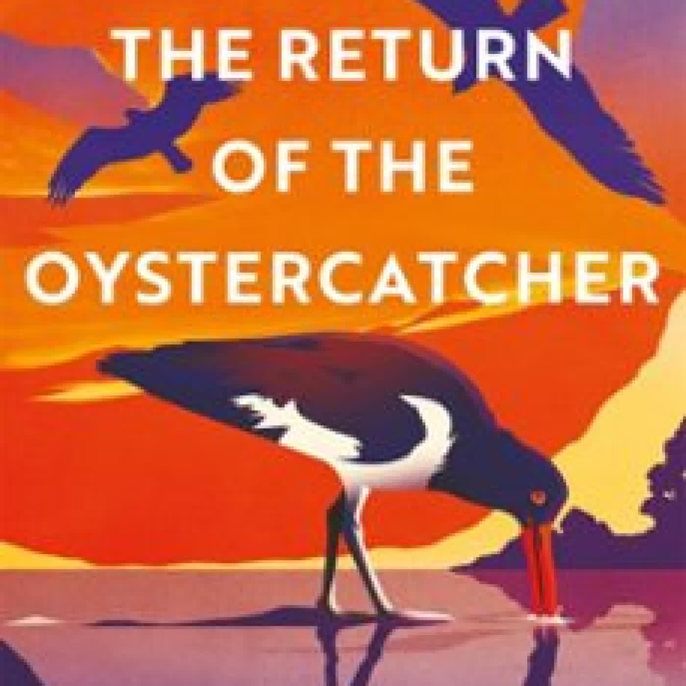 THE RETURN OF THE OYSTERCATCHER CHARLES SCOTT WEIDENSAUL