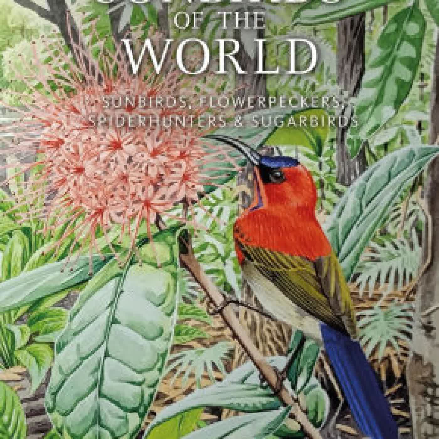 Read online: Sunbirds of the World: Sunbirds, Flowerpeckers, Spiderhunters and Sugarbirds, Second Edition by Robert A. Cheke, Clive F. Mann, Richard Allen