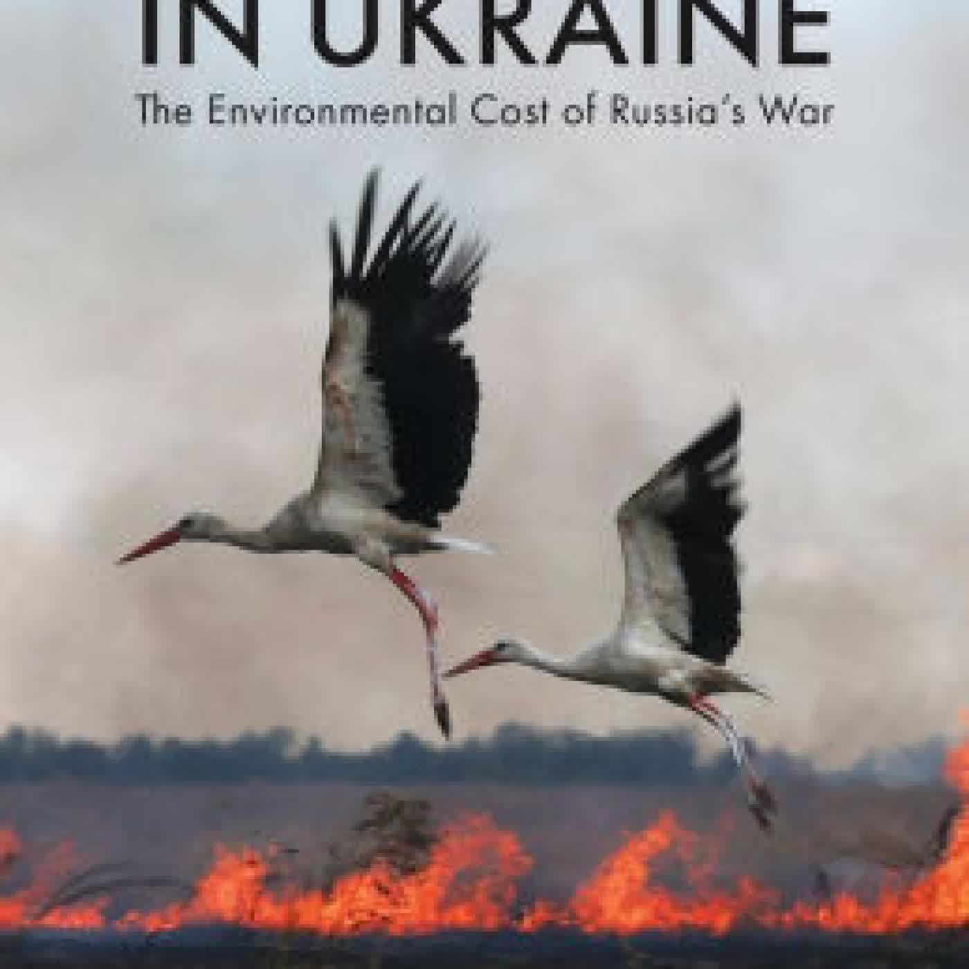 Read online: Ecocide in Ukraine: The Environmental Cost of Russia's War by Darya Tsymbalyuk