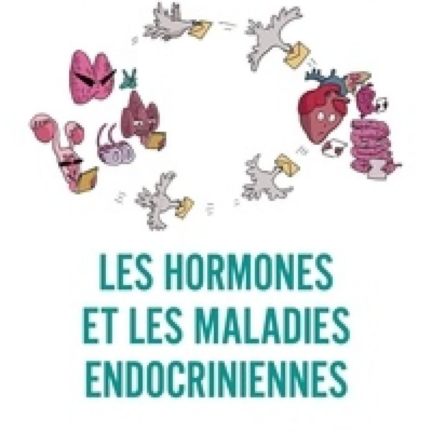Télécharger Pdf Les hormones et les maladies endocriniennes. De la fonction des hormones aux perturbateurs endocriniens