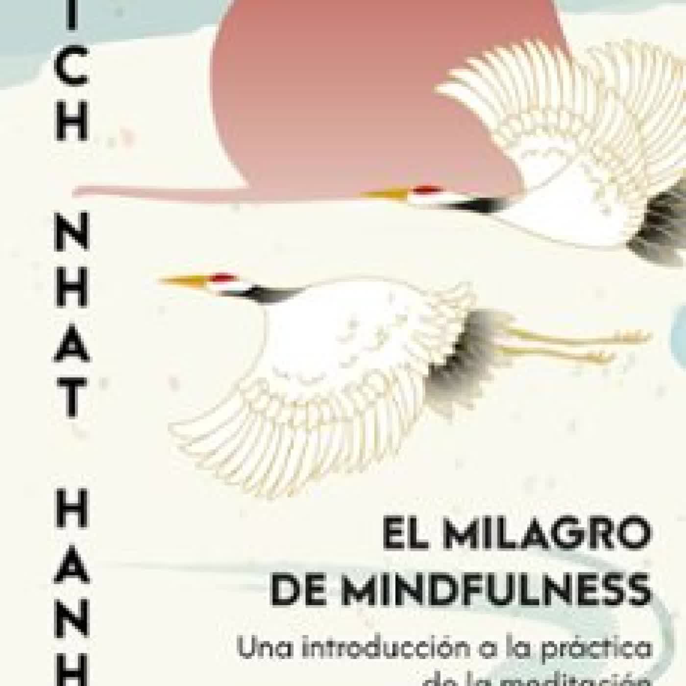 EL MILAGRO DE MINDFULNESS Thich Nhat Hanh