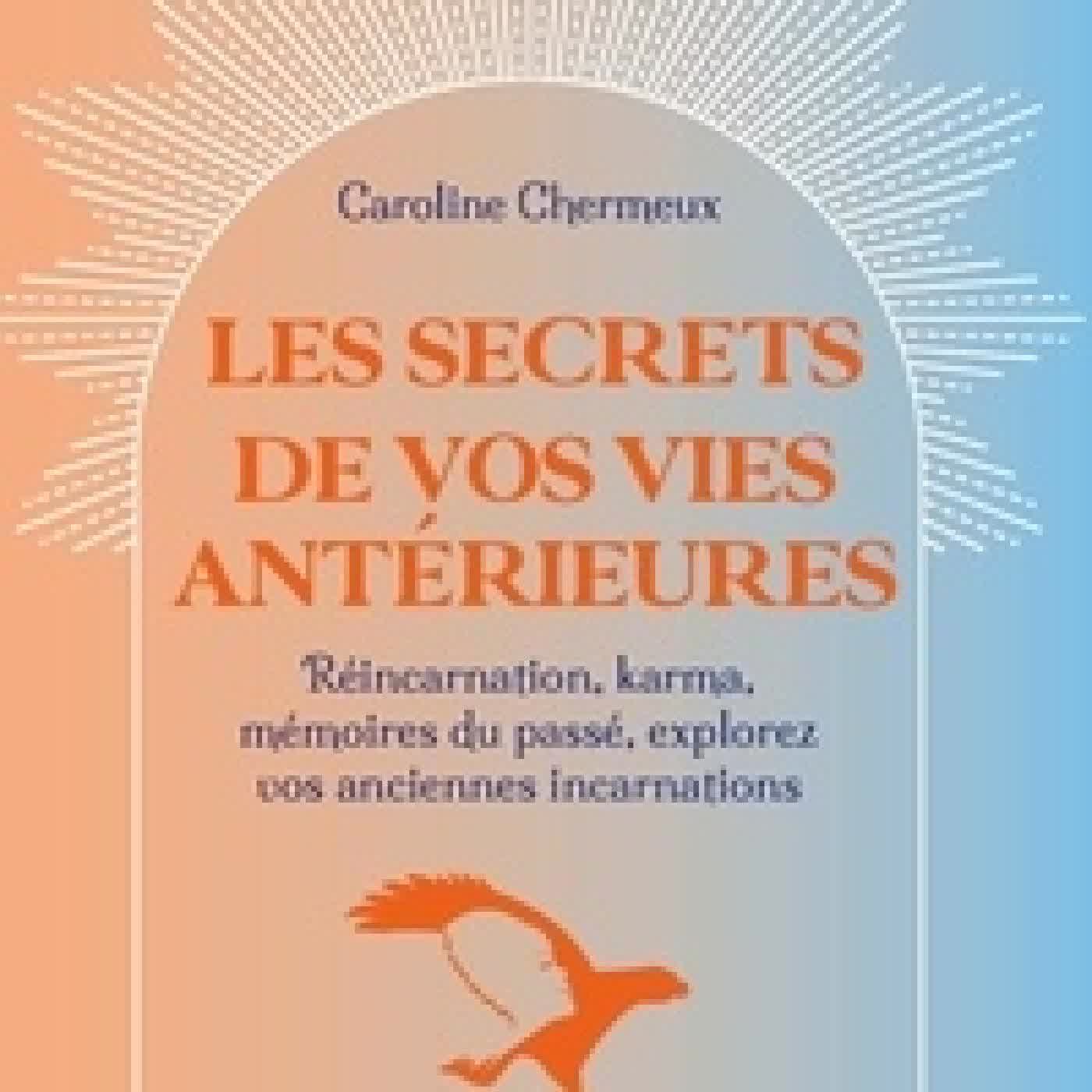 {téléchargement} Les secrets de vos vies antérieures. Réincarnation, karma, mémoires du passé : explorez vos anciennes incarnations