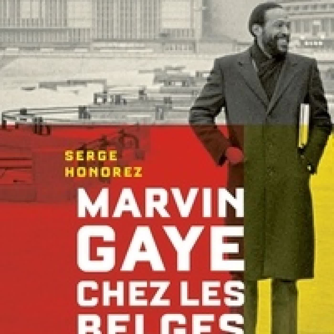 Télécharger Pdf Marvin Gaye chez les Belges